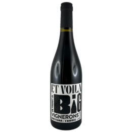 BIG CREATION ROUGE VELORE 2023
