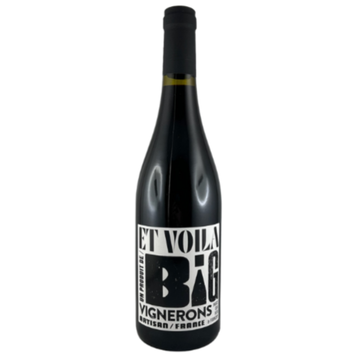 BIG CREATION ROUGE VELORE 2023